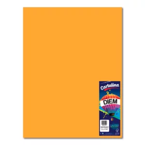 CARTULINA 50X66CM 176GRS C/10 NARANJA ELECTRICO