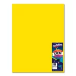 CARTULINA 50X66CM 176GRS C/10 CANARIO