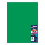 CARTULINA 50X66CM 176GRS C/10 VERDE BANDERA