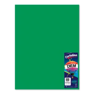 CARTULINA 50X66CM 176GRS C/10 VERDE BANDERA