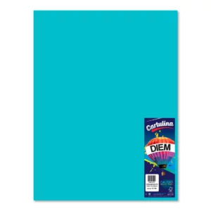 CARTULINA 50X66CM 176GRS C/10 TURQUESA