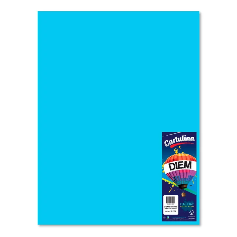 CARTULINA 50X66CM 176GRS C/10 AZUL