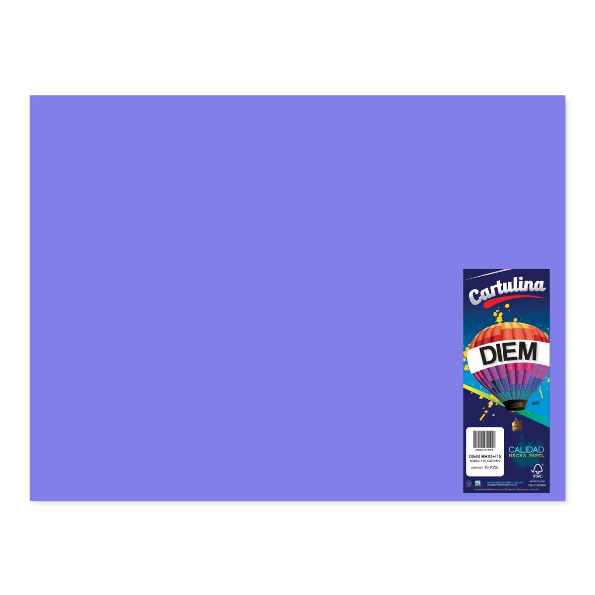 CARTULINA 50X66CM 176GRS C/10 UVA