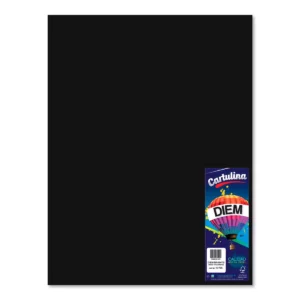 CARTULINA 50X66CM 176GRS C/10 NEGRO