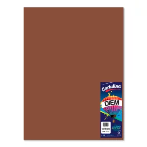 CARTULINA 50X66CM 176GRS C/10 CAFE OBSCURO