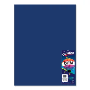 CARTULINA 50X66CM 176GRS C/10 AZUL MARINO