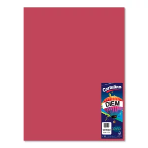 CARTULINA 50X66CM 176GRS C/10 VINO