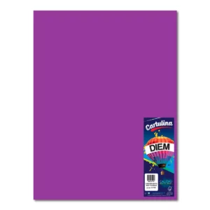 CARTULINA 50X66CM 176GRS C/10 MORADO INTENSO