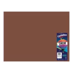 CARTULINA 50X66CM 176GRS C/10 CAFE TABACO
