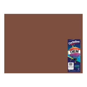 CARTULINA 50X66CM 176GRS C/10 CAFE TABACO