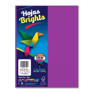 HOJA CARTA FLUORESCENTE C/100 100F01 VIOLETA OBSCURO