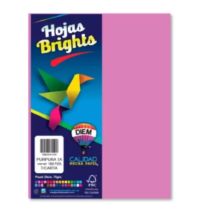 HOJA CARTA FLUORESCENTE C/100 100F01A PURPURA