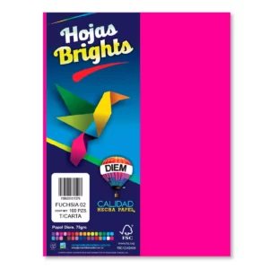 HOJA CARTA FLUORESCENTE C/100 100F02 FIUSHA