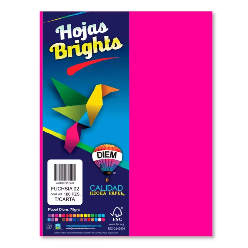 HOJA CARTA FLUORESCENTE C/100 100F02 FIUSHA