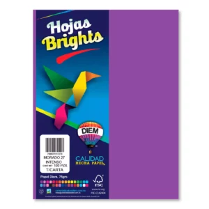 HOJA CARTA FLUORESCENTE C/100 100F22 MORADO