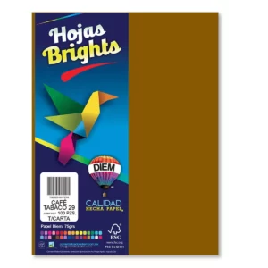 HOJA CARTA FLUORESCENTE C/100 100F29 CAFE TABACO