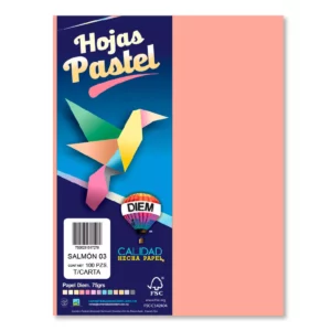 HOJA CARTA PASTEL C/100 100P03 SALMON