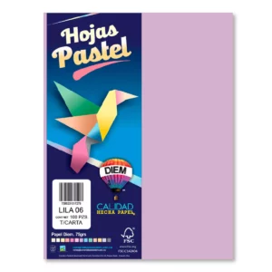 HOJA CARTA PASTEL C/100 100P06 LILA