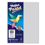 HOJA CARTA PASTEL C/100 100P11 GRIS