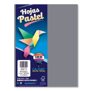 HOJA CARTA PASTEL C/100 100P12 GRIS INTENSO
