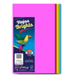 HOJA DOBLE CARTA 75GRS C/100 COLOR