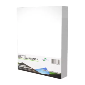 CARTULINA CARTA OPALINA BLANCA 220GRS C/100
