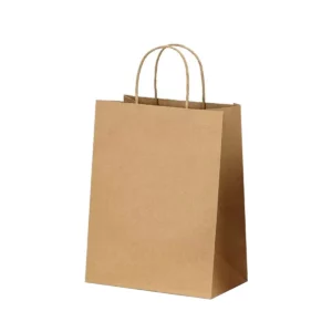 BOLSA KRAFT TROQUELADA C/12 17X9X30CMS MEDIANA