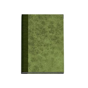 LIBRO BITACORA DE OBRA 60 JUEGOS APEX 376