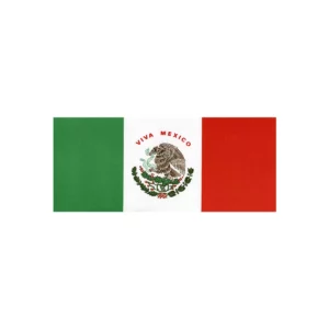 BANDERA DE PAPEL C/50 BOB CHICA