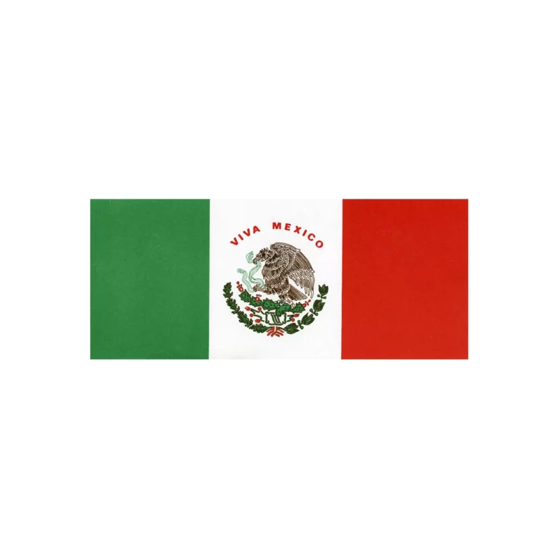 BANDERA DE PAPEL C/50 BOB CHICA