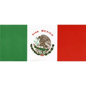 BANDERA DE PAPEL C/50 BOB GRANDE.