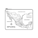 MAPA 1/2 CARTULINA BOB ATADO DE 25 PZAS.
