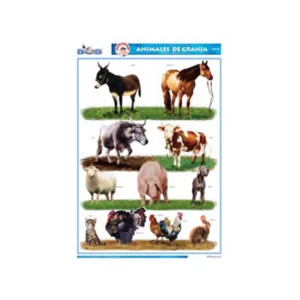 CROMO NO. 6 BOB 47X69 ATADO DE 5 PZAS.