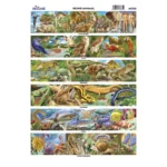 MONOGRAFIA BOB ATADO DE 25 PZAS.