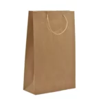 BOLSA KRAFT CHICA 060902 ATADO DE 5 PZAS.