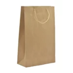 BOLSA KRAFT GRANDE 060904 ATADO DE 5 PZAS.