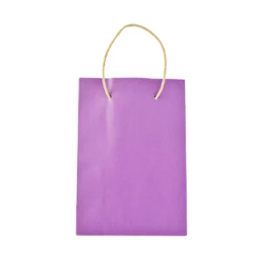 BOLSA KRAFT PINTADA CHICA  61003 ATADO DE 5 PZAS.