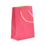 BOLSA KRAFT PINTADA MEDIANA 061004 ATADO DE 5 PZAS.