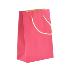 BOLSA KRAFT PINTADA MEDIANA 061004 ATADO DE 5 PZAS.