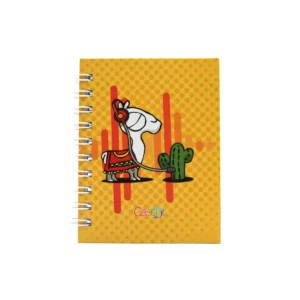 CUADERNO POCKET 100HJS TAPA DURA MELOMANO RAYA