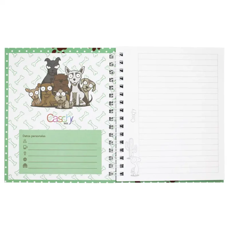 CUADERNO FRANCES 100HJS TAPA DURA AMIGOS RAYA - Imagen 4