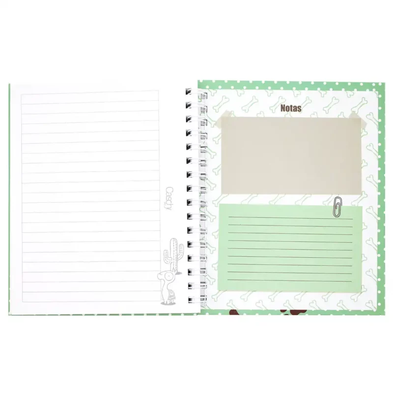 CUADERNO FRANCES 100HJS TAPA DURA AMIGOS RAYA - Imagen 5