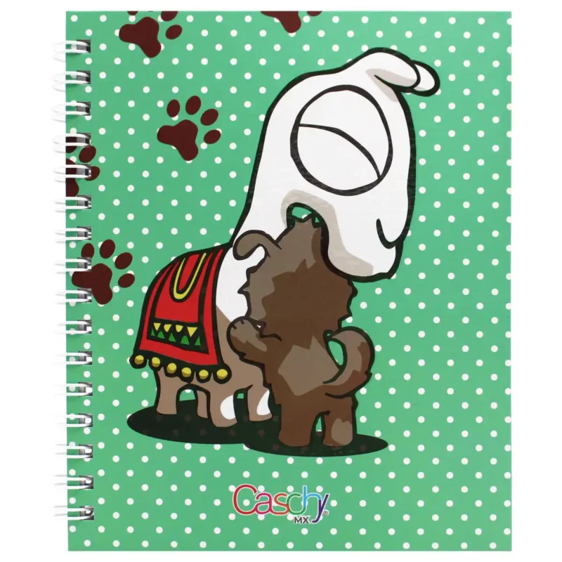 CUADERNO FRANCES 100HJS TAPA DURA AMIGOS RAYA