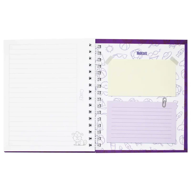 CUADERNO FRANCES 100HJS TAPA DURA COMPAÑEROS RAYA - Imagen 5